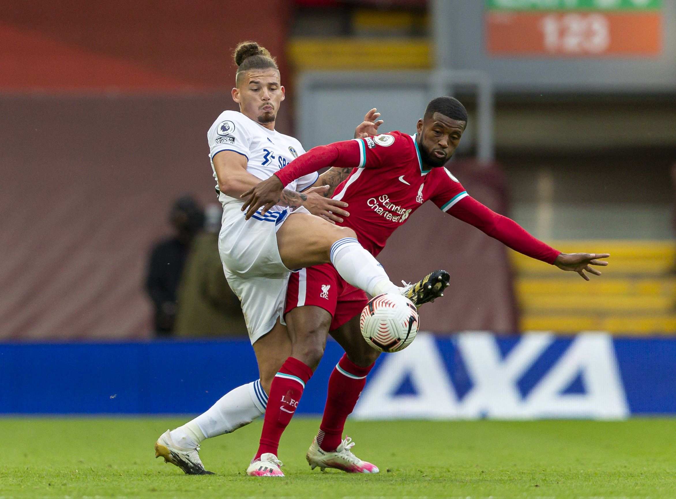 长不仅具备 长不仅具备