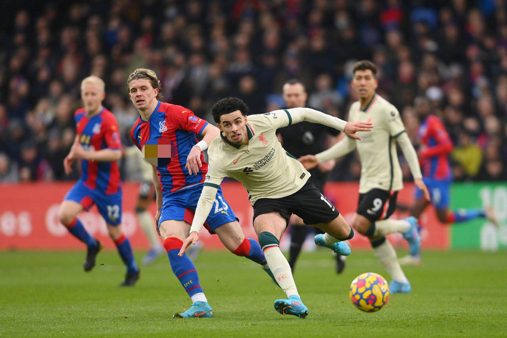 运动充满了 运动充满了